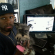 Illustration for article titled Meet 50 Cent's Dog Oprah Winfrey